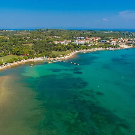 Amazing In * Medolino